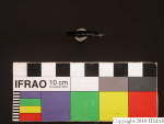 L_V23d3928 J4q99.1 U912 dM la f46